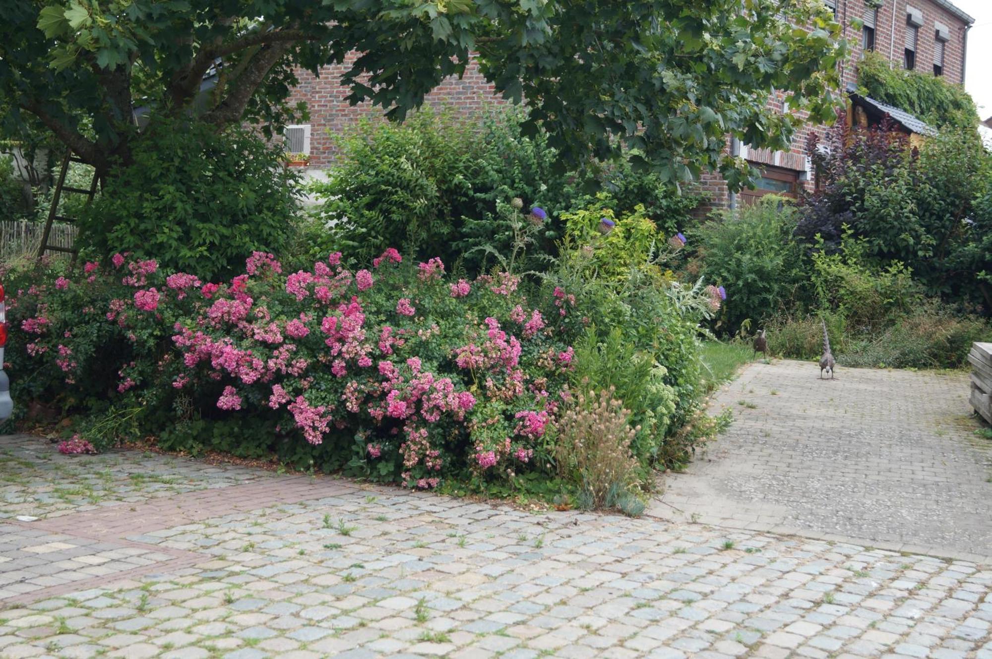 La Petite Maison Sart lez Walhain Extérieur photo